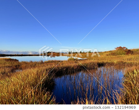 The marshland and boardwalk of Mt. Naeba, and the pond lit up by autumn leaves 132194969