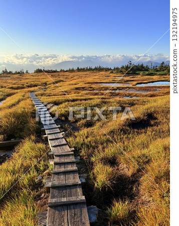 The marshland and boardwalk of Mt. Naeba, and the pond lit up by autumn leaves The marshland and boardwalk of Mt. Naeba, and the pond lit up by autumn leaves 132194975