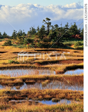 The marshland and boardwalk of Mt. Naeba, and the pond lit up by autumn leaves The marshland and boardwalk of Mt. Naeba, and the pond lit up by autumn leaves 132194976