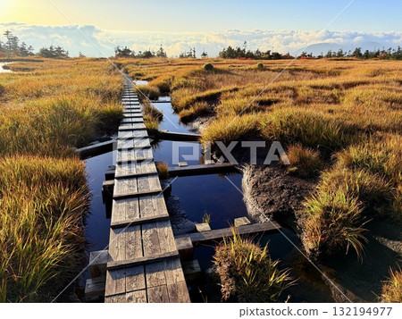 The marshland and boardwalk of Mt. Naeba, and the pond lit up by autumn leaves 132194977