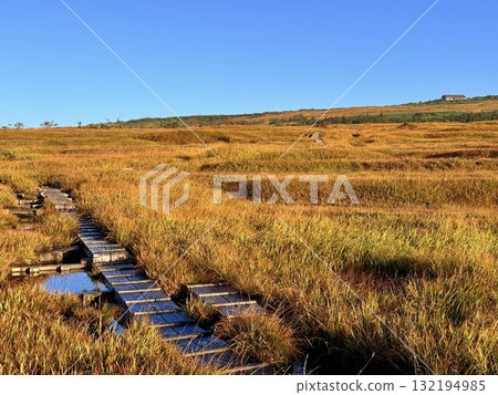 苗場山的濕地和木板路,以及被秋葉點亮的池塘 苗場山的濕地和木板路,以及被秋葉點亮的池塘 132194985