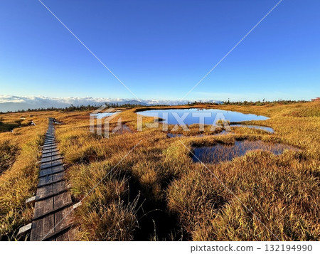 The marshland and boardwalk of Mt. Naeba, and the pond lit up by autumn leaves 132194990