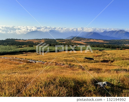 The marshland and boardwalk of Mt. Naeba, and the pond lit up by autumn leaves The marshland and boardwalk of Mt. Naeba, and the pond lit up by autumn leaves 132194992