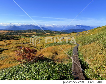 苗場山的濕地和木板路,以及被秋葉點亮的池塘 苗場山的濕地和木板路,以及被秋葉點亮的池塘 132195000