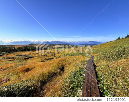 The marshland and boardwalk of Mt. Naeba, and the pond lit up by autumn leaves 132195001