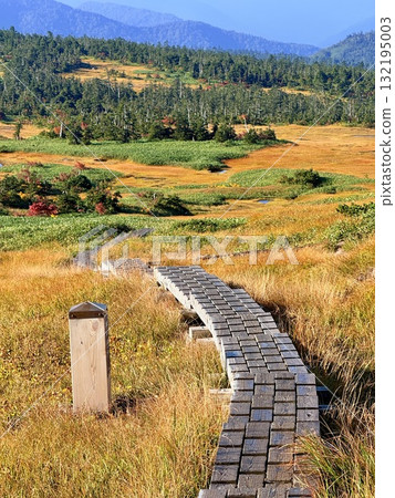 The marshland and boardwalk of Mt. Naeba, and the pond lit up by autumn leaves 132195003