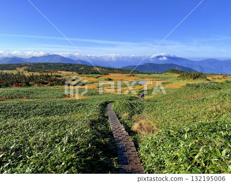 The marshland and boardwalk of Mt. Naeba, and the pond lit up by autumn leaves 132195006