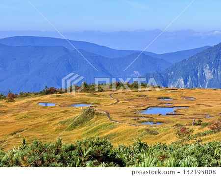 The marshland and boardwalk of Mt. Naeba, and the pond lit up by autumn leaves The marshland and boardwalk of Mt. Naeba, and the pond lit up by autumn leaves 132195008