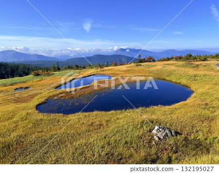 The marshland and boardwalk of Mt. Naeba, and the pond lit up by autumn leaves 132195027