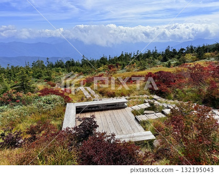 苗場山的濕地和木板路，以及被秋葉點亮的池塘 132195043