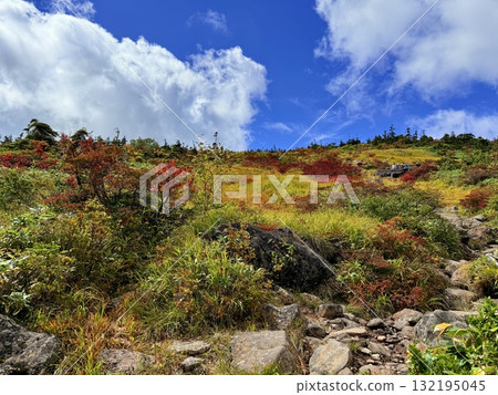 The marshland and boardwalk of Mt. Naeba, and the pond lit up by autumn leaves 132195045
