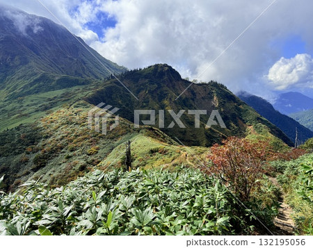 苗場山的濕地和木板路,以及被秋葉點亮的池塘 苗場山的濕地和木板路,以及被秋葉點亮的池塘 132195056