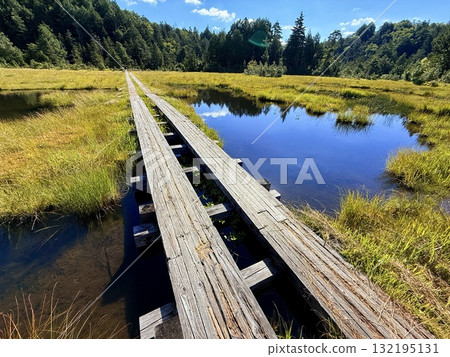 Gunma - Shirasuna Pass and Lake Ozenuma, boardwalks and marshes of Ozegahara in summer Gunma - Shirasuna Pass and Lake Ozenuma, boardwalks and marshes of Ozegahara in summer 132195131