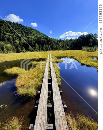 Gunma - Shirasuna Pass and Lake Ozenuma, boardwalks and marshes of Ozegahara in summer 132195136
