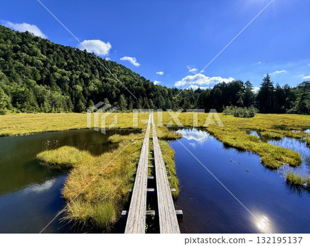群馬縣 - 白砂嶺和尾瀨沼、夏季的尾瀨之原的木板路和沼澤 132195137