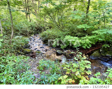 Boardwalk at the trailhead leading from Hatomachi Pass in Gunma to Ozegahara 132195427