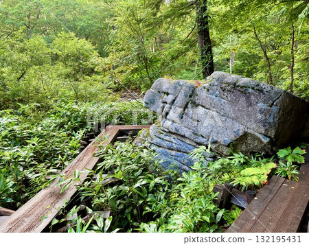 Boardwalk at the trailhead leading from Hatomachi Pass in Gunma to Ozegahara 132195431