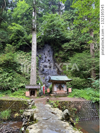 The stone steps of Mount Haguro surrounded by cedar trees 132195545