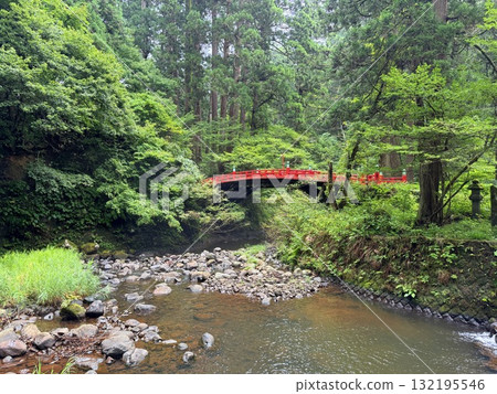The stone steps of Mount Haguro surrounded by cedar trees 132195546