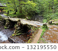 The stone steps of Mount Haguro surrounded by cedar trees The stone steps of Mount Haguro surrounded by cedar trees 132195550