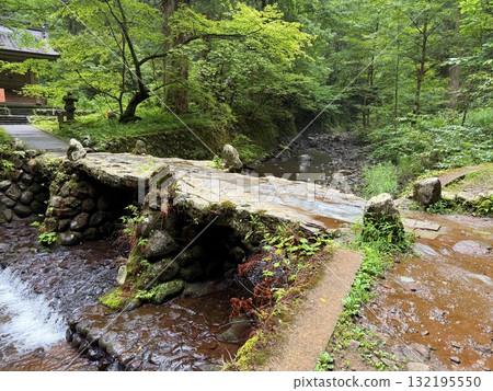 The stone steps of Mount Haguro surrounded by cedar trees 132195550