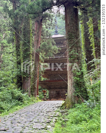 The stone steps of Mount Haguro surrounded by cedar trees 132195553
