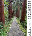 The stone steps of Mount Haguro surrounded by cedar trees The stone steps of Mount Haguro surrounded by cedar trees 132195556