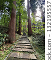 The stone steps of Mount Haguro surrounded by cedar trees The stone steps of Mount Haguro surrounded by cedar trees 132195557