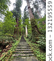 The stone steps of Mount Haguro surrounded by cedar trees The stone steps of Mount Haguro surrounded by cedar trees 132195559