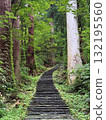 The stone steps of Mount Haguro surrounded by cedar trees The stone steps of Mount Haguro surrounded by cedar trees 132195560