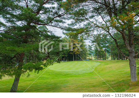 高爾夫球場綠地綠地 高爾夫球場綠地綠地 132196024