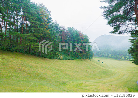 高爾夫球場綠地綠地 132196029