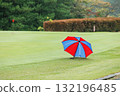Golf course green with green 132196485