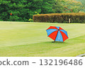 Golf course green with green 132196486