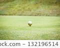 Golf course green and ball 132196514