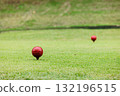 Golf course green and ball 132196515