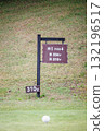 Golf course green and ball 132196517