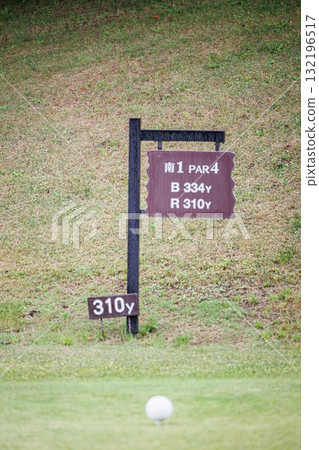 高爾夫球場綠色和球 高爾夫球場綠色和球 132196517