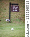 Golf course green and ball 132196518