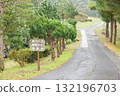 Straight road on the golf course 132196703