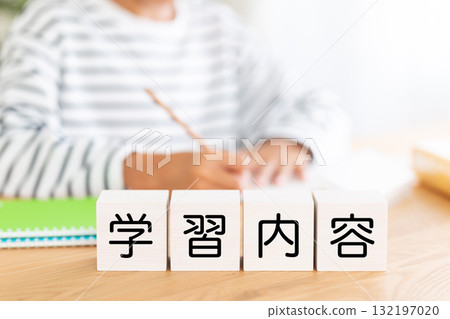 Elementary school boy studying with blocks of learning content 132197020