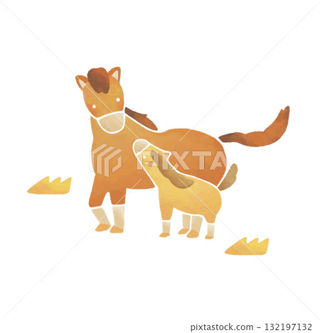 母馬和子馬互相看著對方 132197132