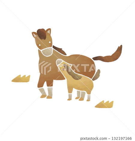 A mother and child horse looking at each other 132197166