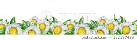 White camellia flowers with leaves seamless border decor element. Hand drawn vintage style botanical watercolor illustration. Tender white camellia blossoms seamless border on white background White camellia flowers with leaves seamless border decor element. Hand drawn vintage style botanical watercolor illustration. Tender white camellia blossoms seamless border on white background 132197489