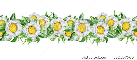 White camellia flowers with leaves seamless border decor element. Hand drawn vintage style botanical watercolor illustration. Tender white camellia blossoms seamless border on white background 132197500