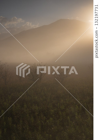 清晨的陽光照耀著山巒,晨霧瀰漫 清晨的陽光照耀著山巒,晨霧瀰漫 132197731