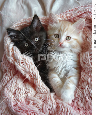 adorable kitten laying on a bed with a pink croched blanket 132198089