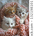 adorable kitten laying on a bed with a pink croched blanket 132198101
