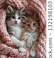adorable kitten laying on a bed with a pink croched blanket 132198103