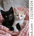 adorable kitten laying on a bed with a pink croched blanket 132198104